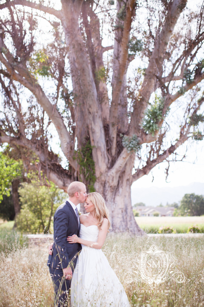 bay area wedding photographer