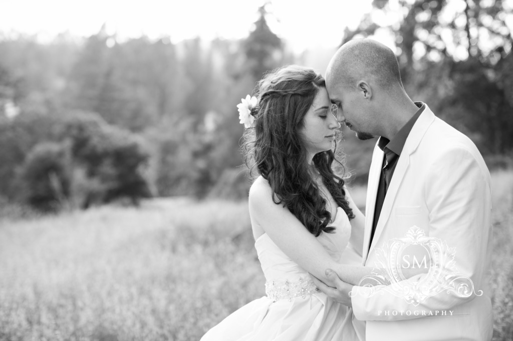 Sonoma County Wedding Photorapher