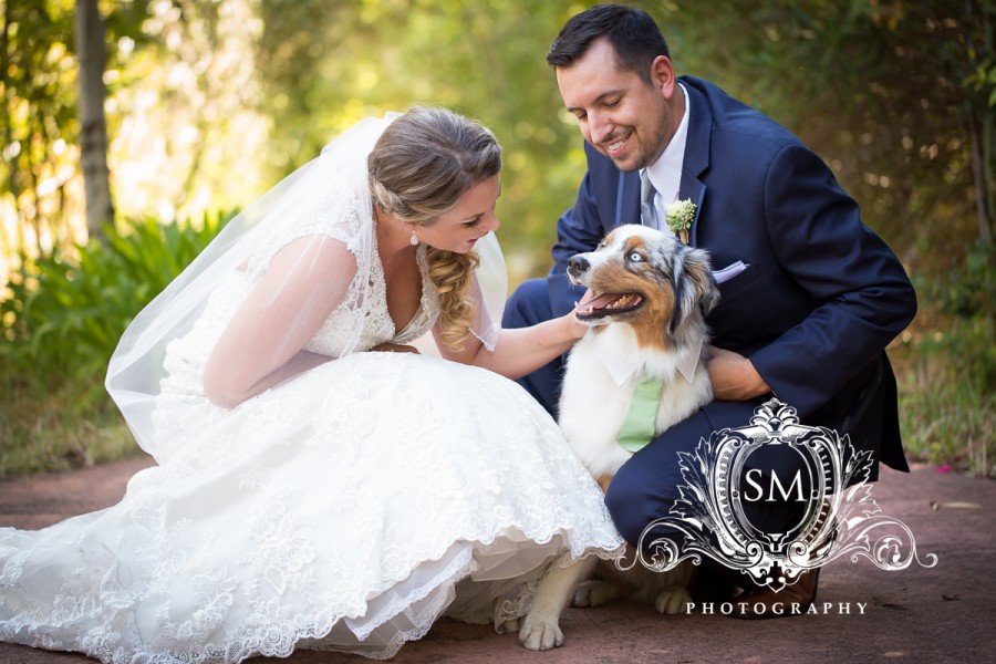 sonoma wedding photographer