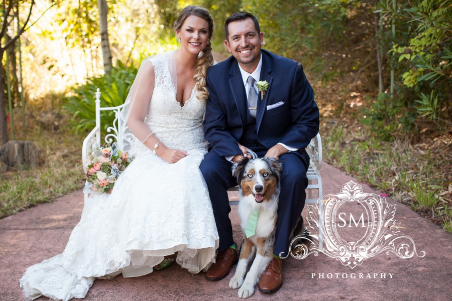 sonoma wedding photographer