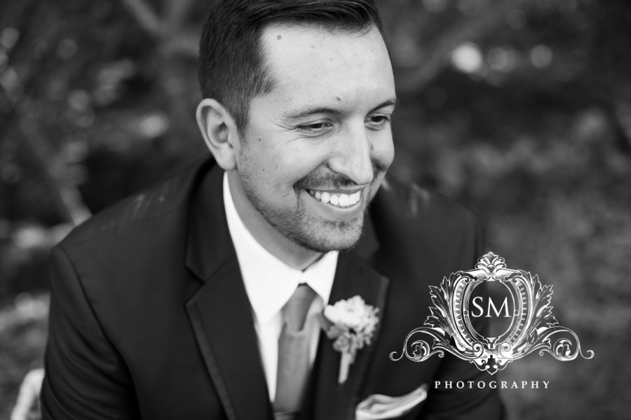 sonoma wedding photographer