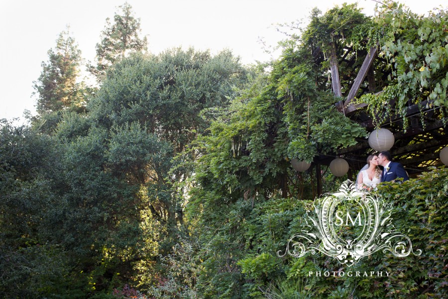 sonoma wedding photographer